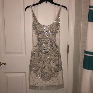 Beautiful Sequin Dress